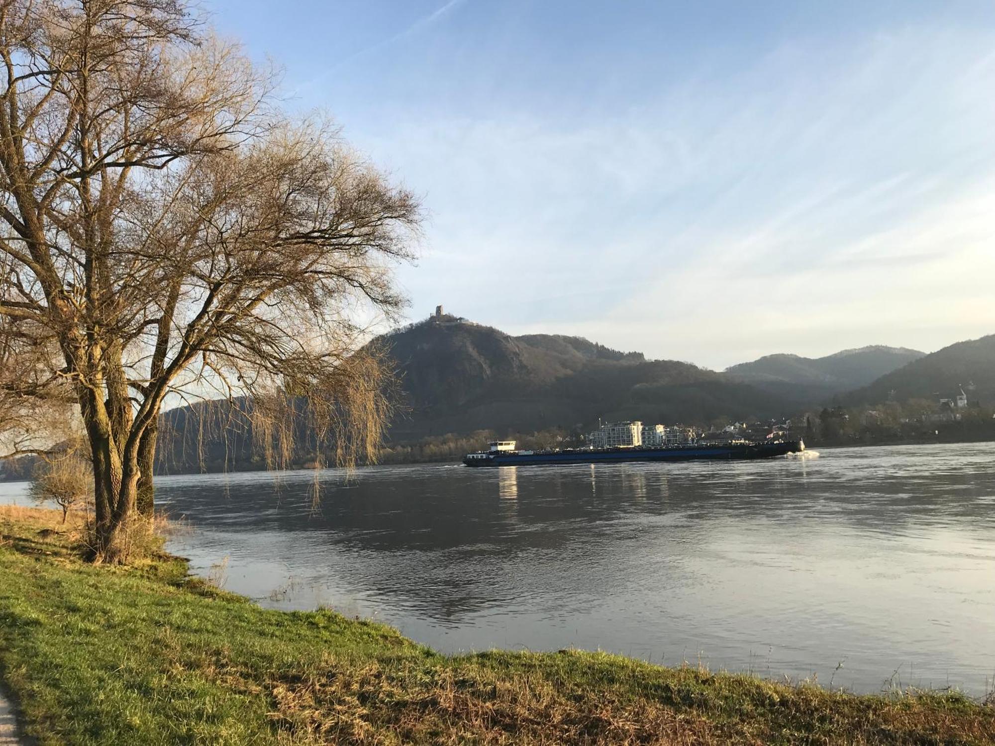 Вілла Ferienhaus Rheinperle Mit Garten In Remagen Am Rhein - Naehe Bonn Екстер'єр фото