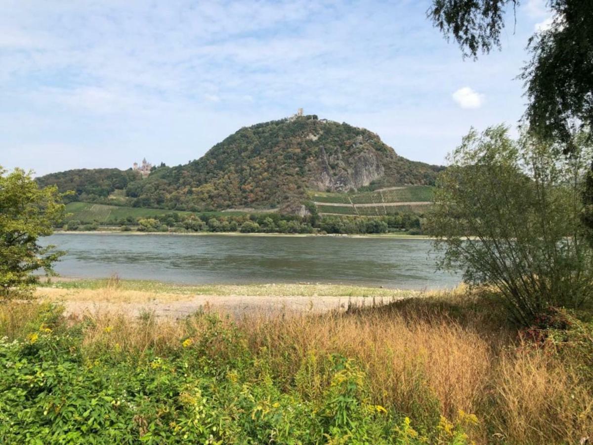 Вілла Ferienhaus Rheinperle Mit Garten In Remagen Am Rhein - Naehe Bonn Екстер'єр фото