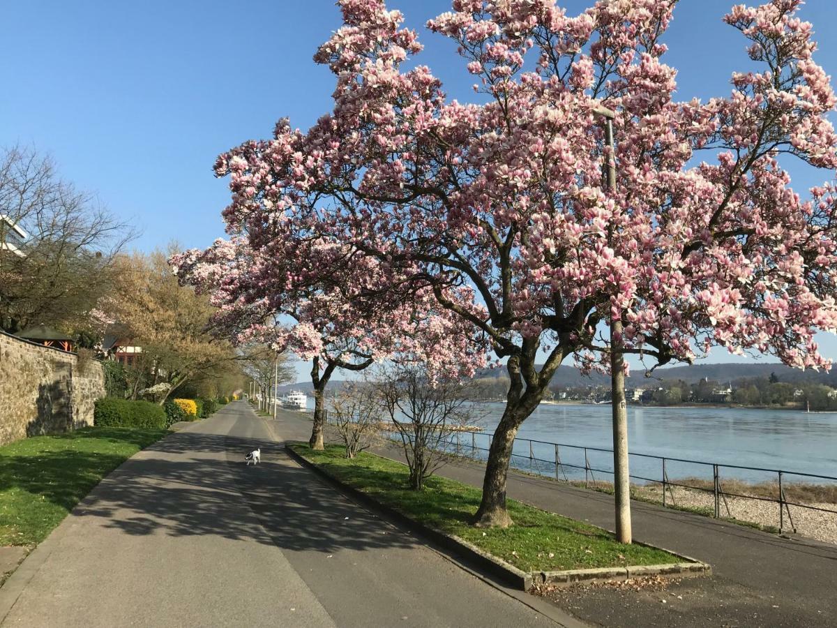 Вілла Ferienhaus Rheinperle Mit Garten In Remagen Am Rhein - Naehe Bonn Екстер'єр фото